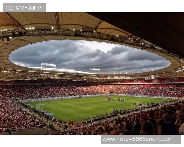 左拉足球的传奇旅程与技术分析探讨球场上的艺术与激情 左拉足球的传奇旅程与技术分析探讨球场上的艺术与激情